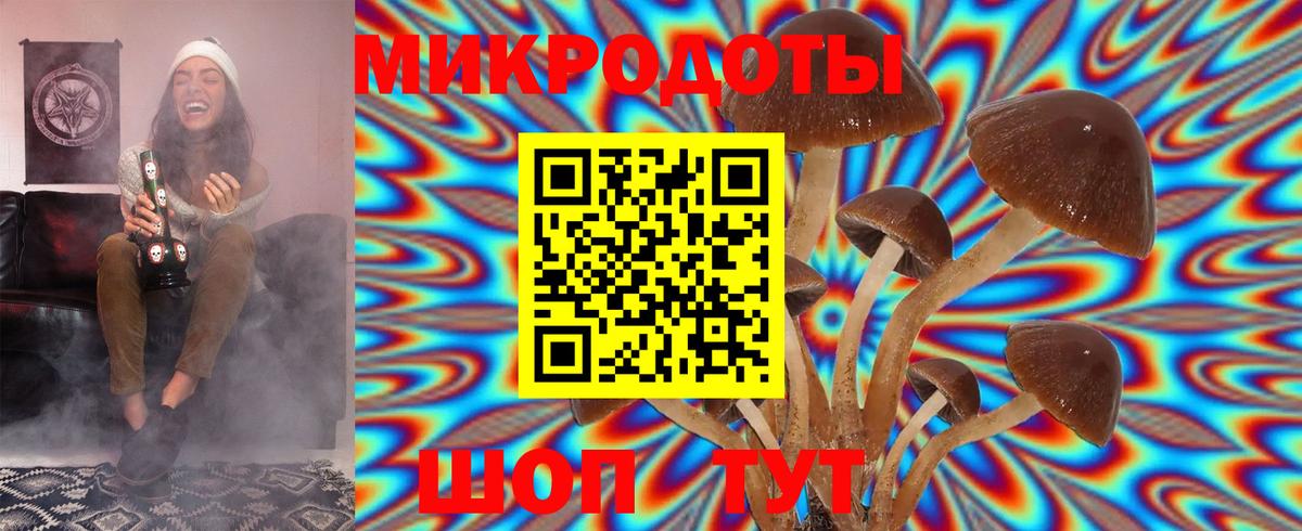 Галлюциногенные грибы ЛСД  Вход с VPN  Печора  Псилоцибиновые грибы Psilocybe 